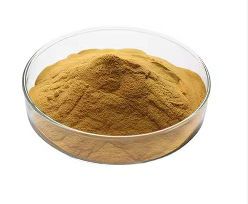 Ricerca farmaceutica e prodotti sanitari Estratto di Gastrodia Elata CAS NO 62499-27-8