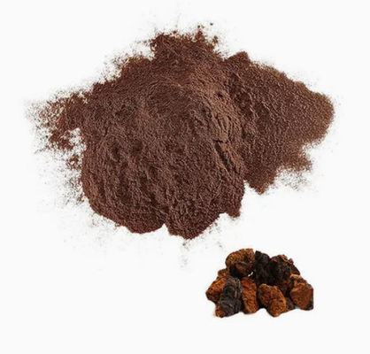 Polisaccaridi naturali da 10% a 50% Estratto di Chaga Estratto in polvere CAS 84650-60-9