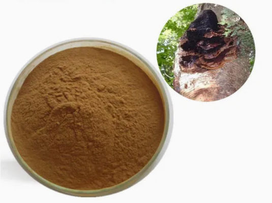 Polisaccaridi naturali da 10% a 50% Estratto di Chaga Estratto in polvere CAS 84650-60-9
