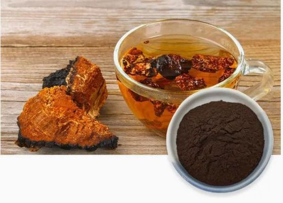 Polisaccaridi naturali da 10% a 50% Estratto di Chaga Estratto in polvere CAS 84650-60-9