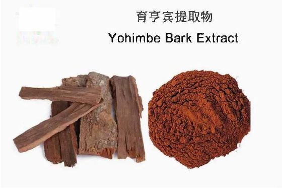 Estratto di Yohimbe in polvere di corteccia di qualità alimentare CAS NO 65-19-0 Cura della salute