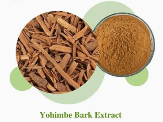Estratto di Yohimbe in polvere di corteccia di qualità alimentare CAS NO 65-19-0 Cura della salute