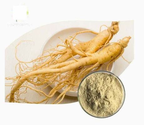 Estratto di ginseng naturale di alto grado organico CAS NO 90045-38-8 Ginseng monomer Saponine