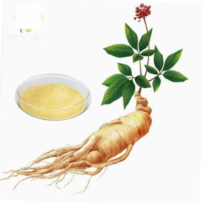 Estratto di ginseng naturale di alto grado organico CAS NO 90045-38-8 Ginseng monomer Saponine