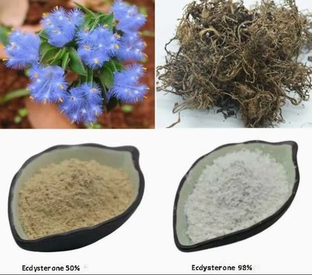 Cura della salute Crescita cellulare Ecdisterone 95% / 50% idrossi in polvere CAS NO 3604-87-3