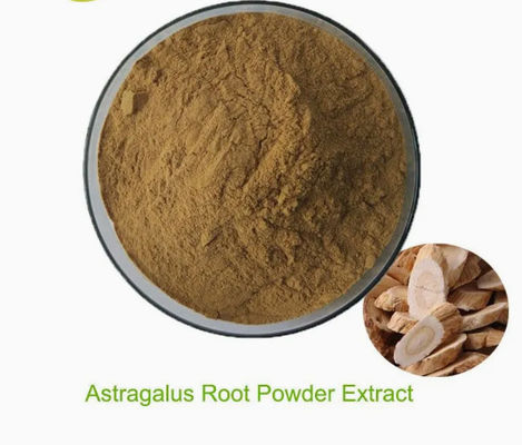 Estratto di astragalo con astragaloside A Cicloastragenolo polisaccaridi CAS 84687-43-4