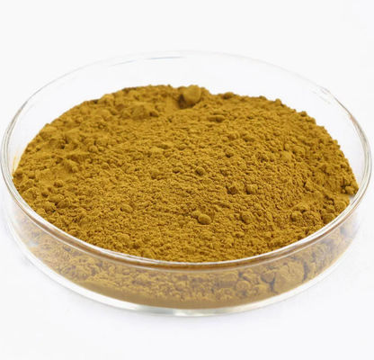 Estratto di astragalo con astragaloside A Cicloastragenolo polisaccaridi CAS 84687-43-4