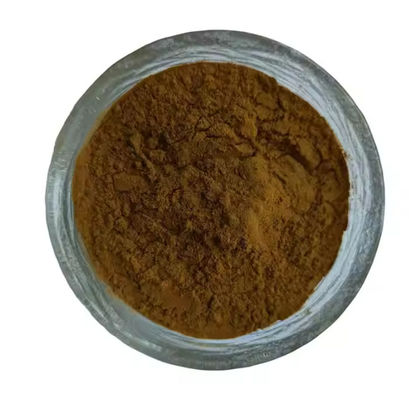 Estratto di medicina cinese Materia prima Estratto di angelica CAS NO 84775-41-7 Salute