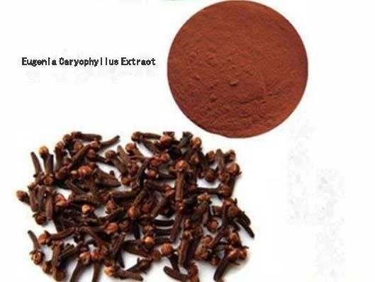 Estratto di Eugenia Caryophyllus CAS NO 84961-50-2 Prodotti per la salute nutrizionale