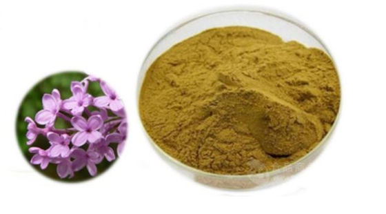 Estratto di Eugenia Caryophyllus CAS NO 84961-50-2 Prodotti per la salute nutrizionale