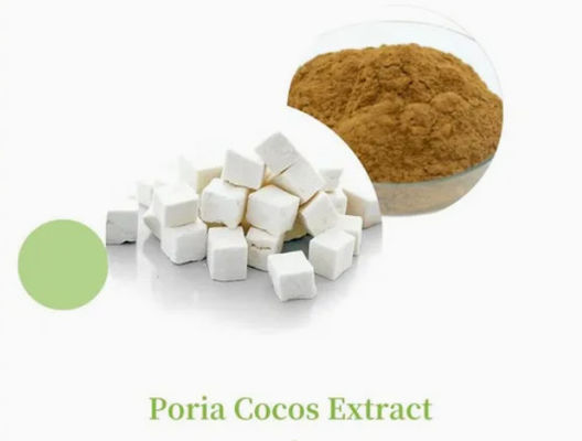 Estratto di piante di Herbway in polvere Estratto di cocco di Poria CAS NO 65637-98-1 50% polisaccaride