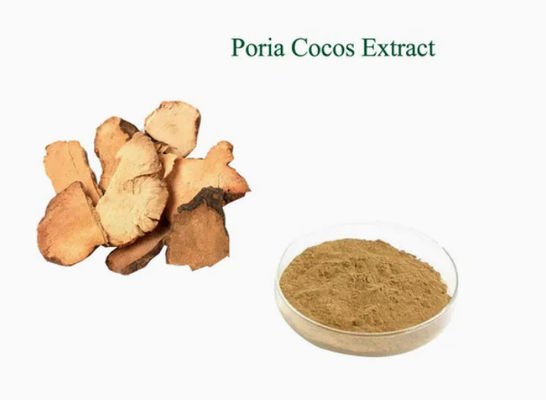 Estratto di piante di Herbway in polvere Estratto di cocco di Poria CAS NO 65637-98-1 50% polisaccaride