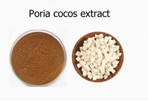 Estratto di piante di Herbway in polvere Estratto di cocco di Poria CAS NO 65637-98-1 50% polisaccaride
