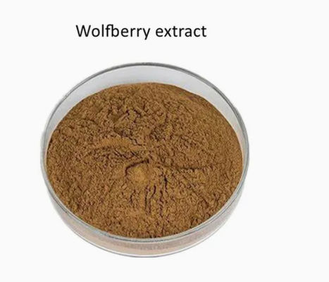 Estratto di bacche di lupo naturale puro antiossidante CAS NO 11-40-5 Estratto di bacche di goji