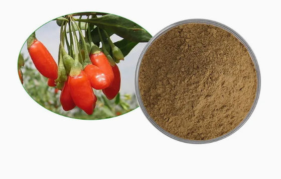 Estratto di bacche di lupo naturale puro antiossidante CAS NO 11-40-5 Estratto di bacche di goji
