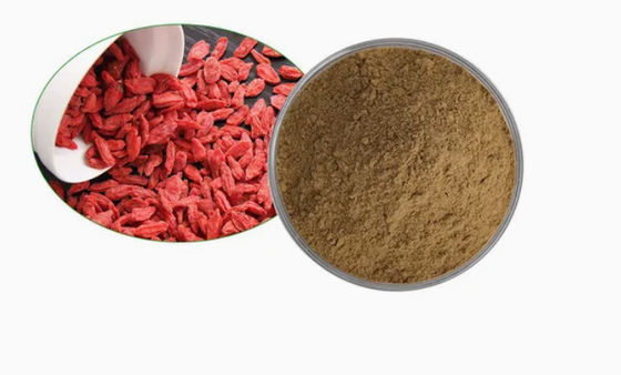 Estratto di bacche di lupo naturale puro antiossidante CAS NO 11-40-5 Estratto di bacche di goji