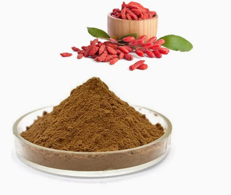 Estratto di bacche di lupo naturale puro antiossidante CAS NO 11-40-5 Estratto di bacche di goji