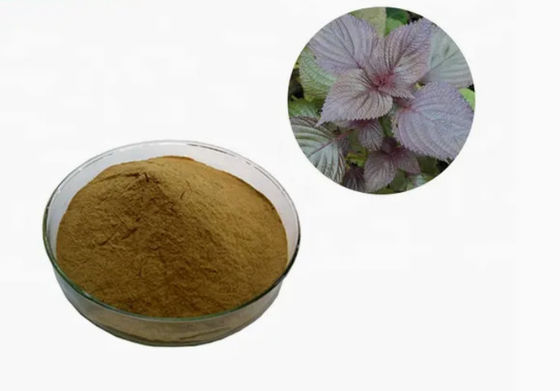 Estratto naturale di foglie di perilla organica CAS NO 90082-61-4 Erbe annuali in polvere