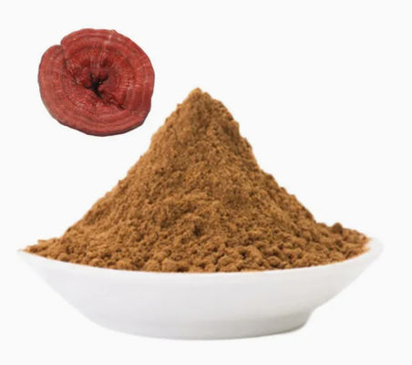 Erboristeria Ganoderma Lucidum Spore Powder CAS NO 223751-82-4 Naturale Organico