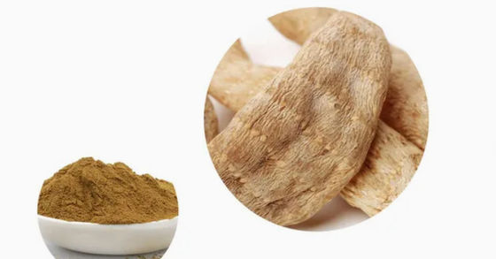 Farmaceutico Sanità Estratti di Gastrodia Elata CAS NO 62499-27-8 Gastrodia Elata BL