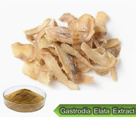 Farmaceutico Sanità Estratti di Gastrodia Elata CAS NO 62499-27-8 Gastrodia Elata BL