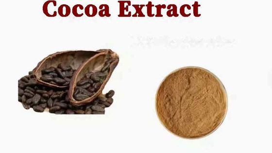 Estratto di cacao naturale puro Teobromina CAS NO 83-67-0 Estratti di piante Additivo alimentare