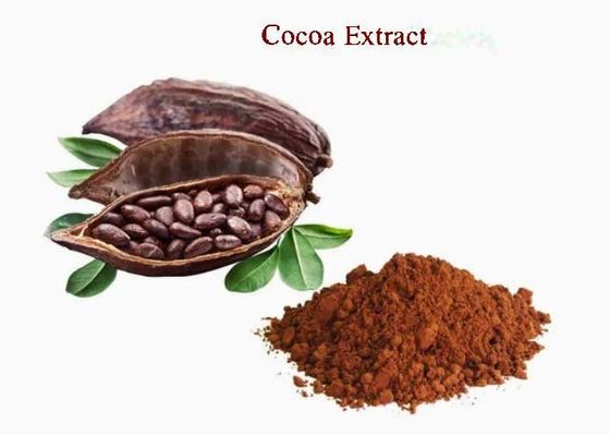 Estratto di cacao naturale puro Teobromina CAS NO 83-67-0 Estratti di piante Additivo alimentare