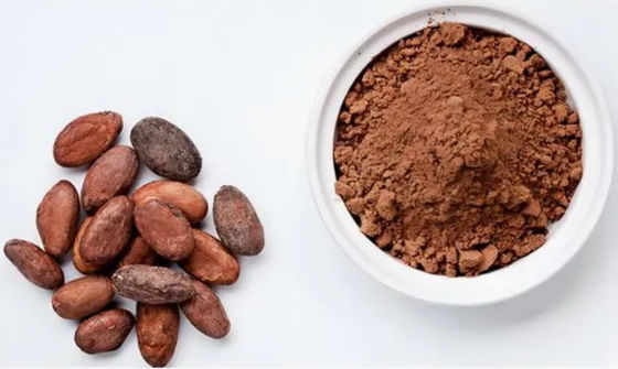 Estratto di cacao naturale puro Teobromina CAS NO 83-67-0 Estratti di piante Additivo alimentare
