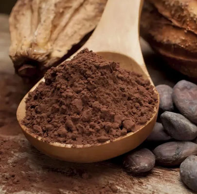Estratto di cacao naturale puro Teobromina CAS NO 83-67-0 Estratti di piante Additivo alimentare