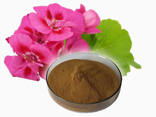 Estratto di geranio in polvere di qualità alimentare organico CAS NO 8000-46-2 Pelargonium Hortorum