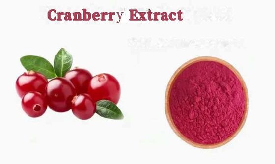 Estratti di mirtilli puri naturali freschi CAS NO 84929-27-1 Polvere 25% antocianidina