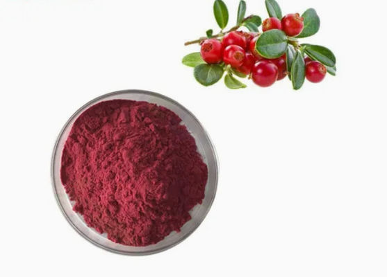 Estratti di mirtilli puri naturali freschi CAS NO 84929-27-1 Polvere 25% antocianidina