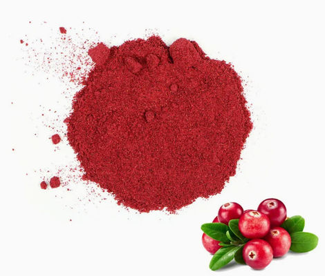 Estratti di mirtilli puri naturali freschi CAS NO 84929-27-1 Polvere 25% antocianidina