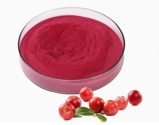 Estratti di mirtilli puri naturali freschi CAS NO 84929-27-1 Polvere 25% antocianidina