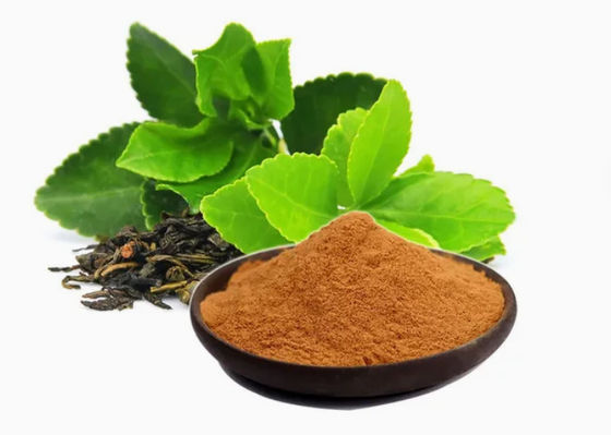 Estratto di tè verde di qualità alimentare naturale di origine vegetale n. Cas 989-51-5 Camellia Sinensis o.ktze