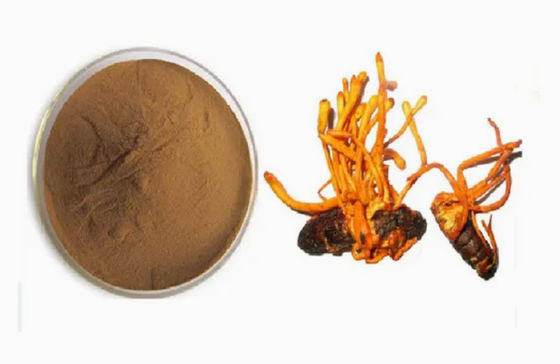 Cordyceps Militaris in polvere arricchita di selenio organico