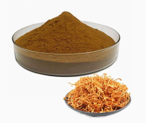 Cordyceps Militaris in polvere arricchita di selenio organico