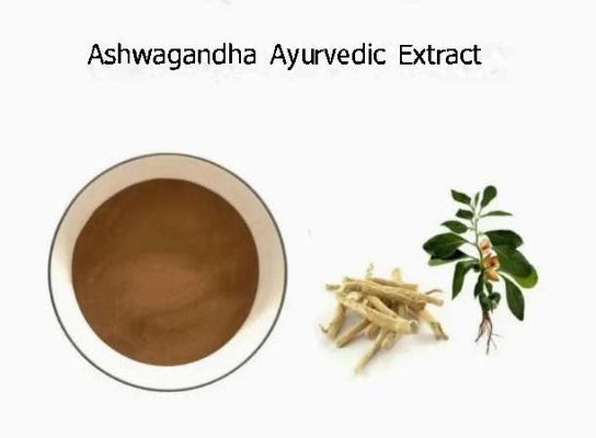 Estratto di erbe Ashwagandha Estratti ayurvedici CAS NO 90147-43-6 5% Withanolide in polvere