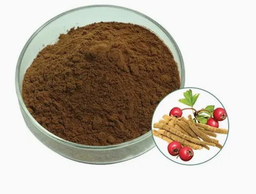 Estratto di erbe Ashwagandha Estratti ayurvedici CAS NO 90147-43-6 5% Withanolide in polvere