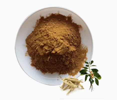 Estratto di erbe Ashwagandha Estratti ayurvedici CAS NO 90147-43-6 5% Withanolide in polvere