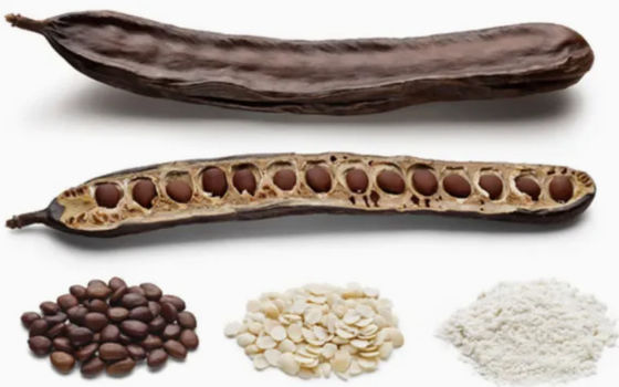 Prodotti alimentari e cosmetici biologici Gomma di carobina in polvere CAS NO 9000-40-2 Gomma di fagioli di locusta