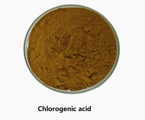 Materia prima o intermedi farmaceutici chiave Acido clorogenico CAS NO 327-97-9 Polvere