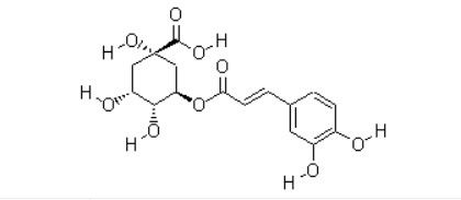 Materia prima o intermedi farmaceutici chiave Acido clorogenico CAS NO 327-97-9 Polvere