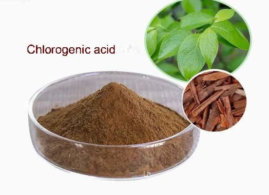 Materia prima o intermedi farmaceutici chiave Acido clorogenico CAS NO 327-97-9 Polvere