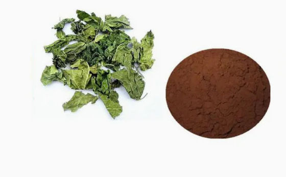 Materia prima o intermedi farmaceutici chiave Acido clorogenico CAS NO 327-97-9 Polvere