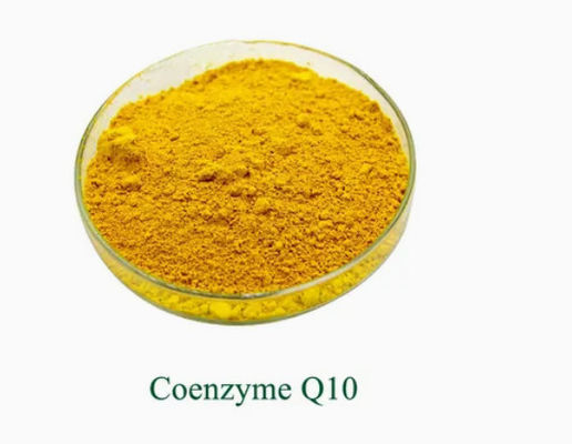 Cas 303-98-0 Salute Integratore Alimentare Ubidecarenone Coenzima Q10 Polvere