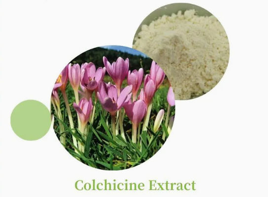 Estratto di colchicina USP/Ep 97~103% Colcemide Colchicina
