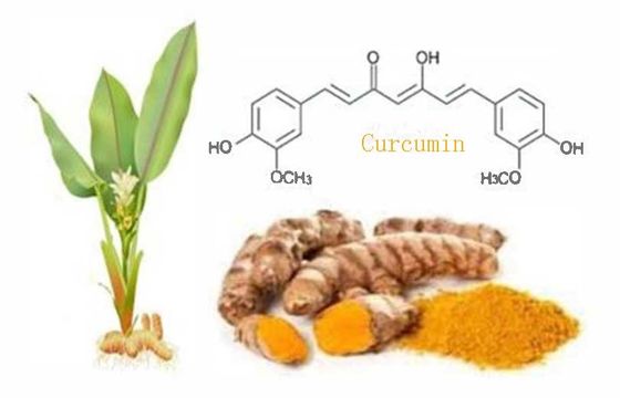 Extracto di radice di curcuma vegetale CAS NO 458-37-7