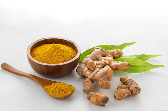 Extracto di radice di curcuma vegetale CAS NO 458-37-7