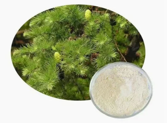 Supplemento naturale Taxifolina diidroquercetina 80% 95% 98% CAS NO 480-18-2 Estratto in polvere